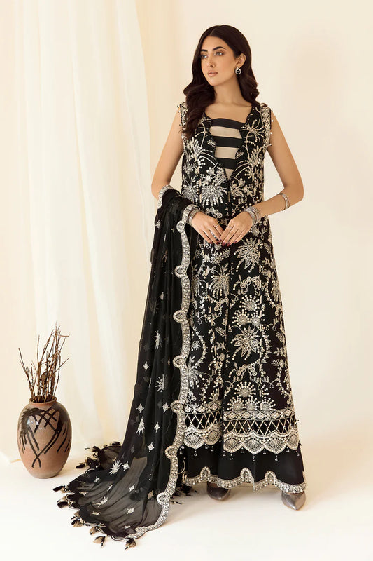 Embroidered Chiffon Black - V14D03 - Meeras